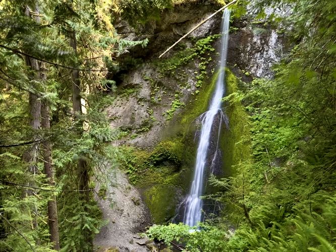 Marymere Falls overlook