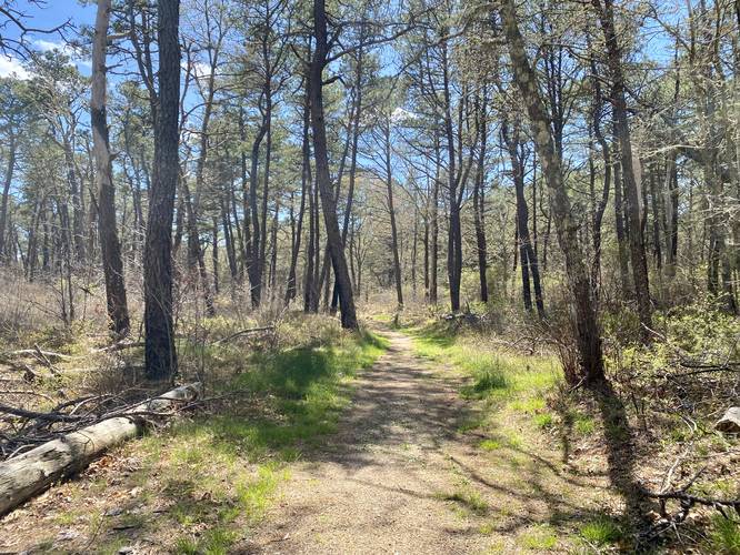 Great Hay Trail