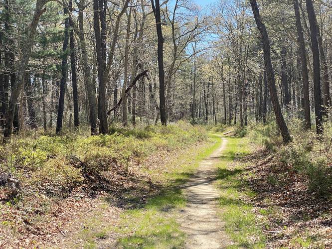 Great Hay Trail