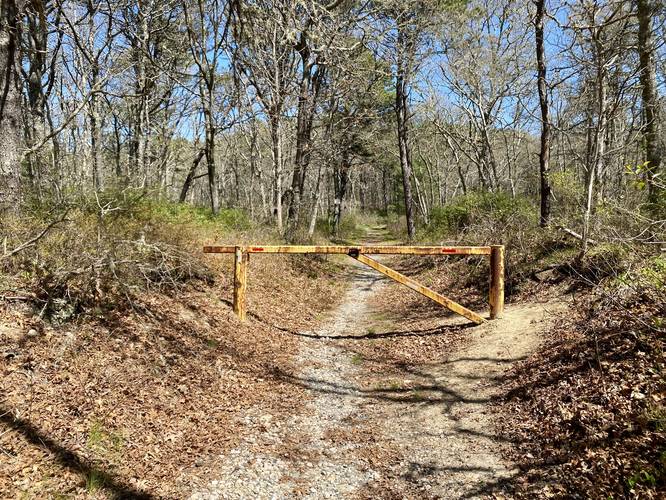 Gate along the Amy Brown Trail