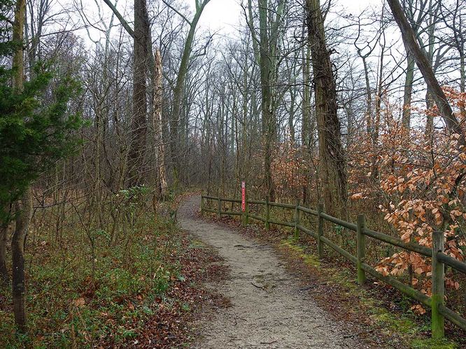 Picture 4 of Mason Neck Loop Hike 010916