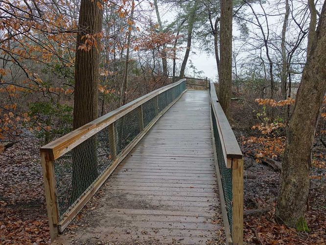 Picture 5 of Mason Neck Loop Hike 010916