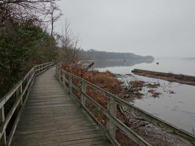 Picture 7 of Mason Neck Loop Hike 010916