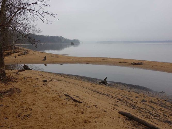 Default image for Mason Neck Loop Hike, a 7.1-mile trail in Lorton, VA (US)