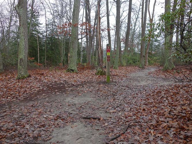 Picture 11 of Mason Neck Loop Hike 010916
