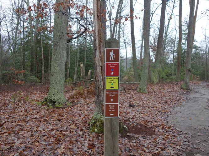 Picture 12 of Mason Neck Loop Hike 010916