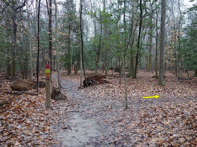 Picture 16 of Mason Neck Loop Hike 010916