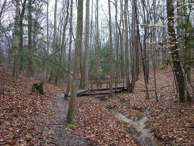 Picture 17 of Mason Neck Loop Hike 010916