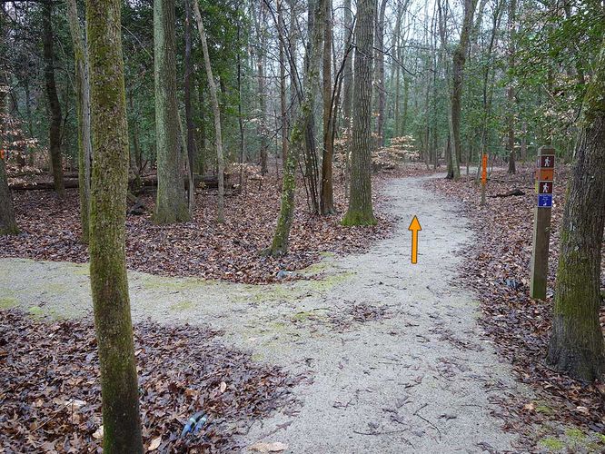 Picture 19 of Mason Neck Loop Hike 010916