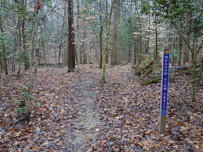 Picture 22 of Mason Neck Loop Hike 010916