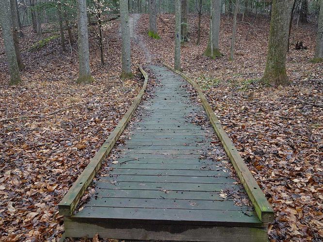 Picture 24 of Mason Neck Loop Hike 010916