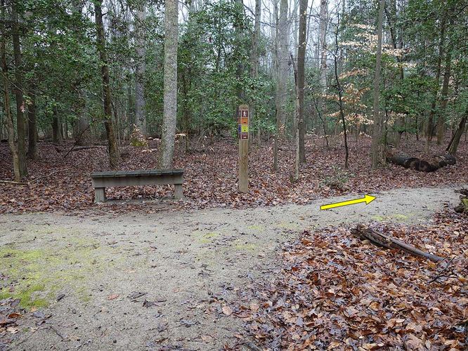 Picture 28 of Mason Neck Loop Hike 010916