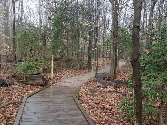 Picture 30 of Mason Neck Loop Hike 010916