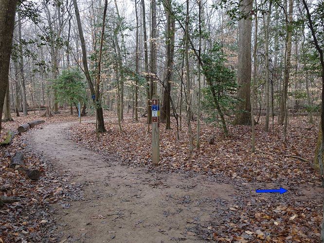 Picture 31 of Mason Neck Loop Hike 010916