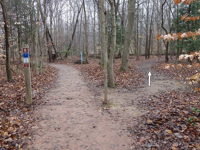 Picture 32 of Mason Neck Loop Hike 010916
