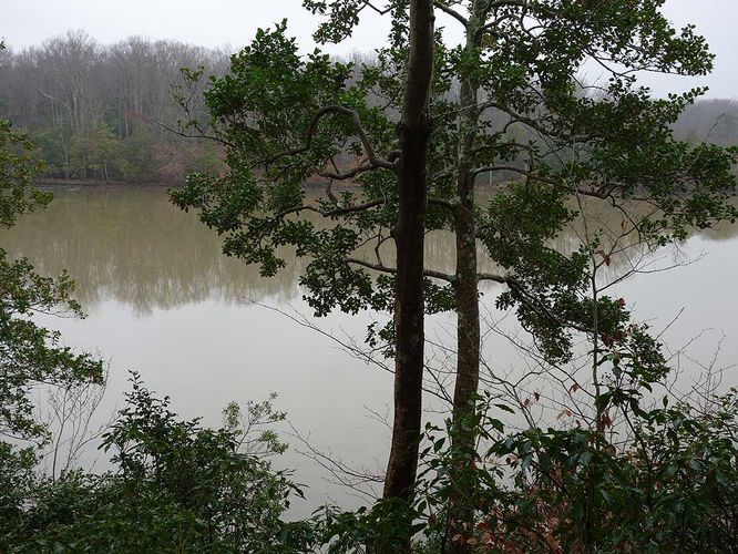 Picture 34 of Mason Neck Loop Hike 010916