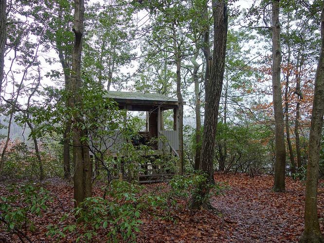 Picture 35 of Mason Neck Loop Hike 010916