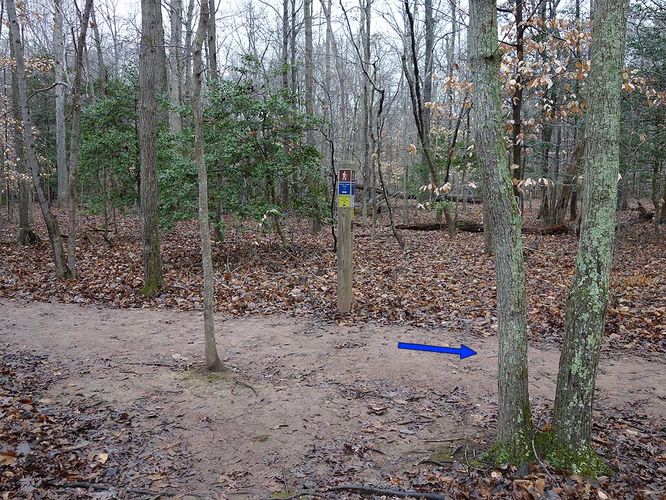 Picture 36 of Mason Neck Loop Hike 010916