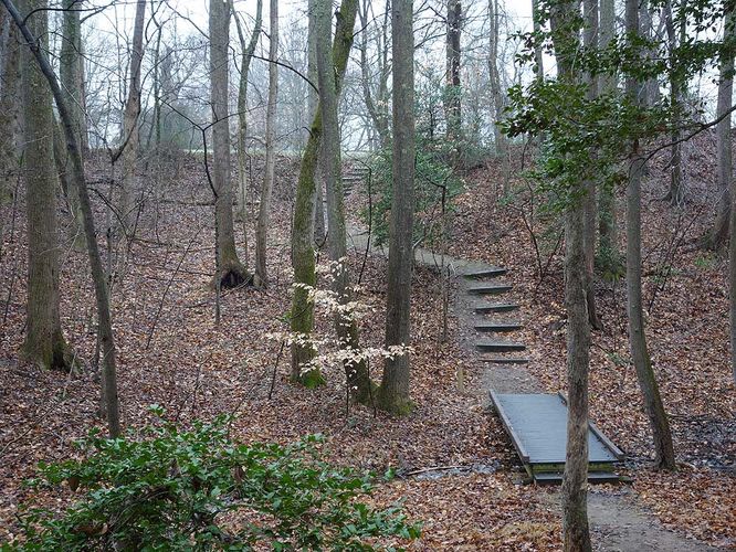 Picture 37 of Mason Neck Loop Hike 010916
