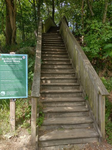 The Massanutten Ridge Trail begins up these sturdy wooden steps.