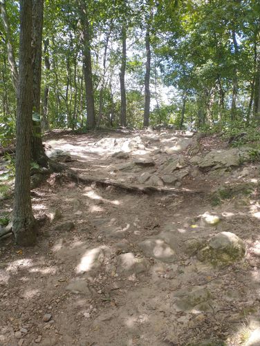 The trail substrate begins rocky and stays rocky.