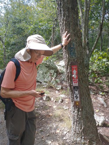 Blue trail blaze and a reminder that this trail will be a challenge.