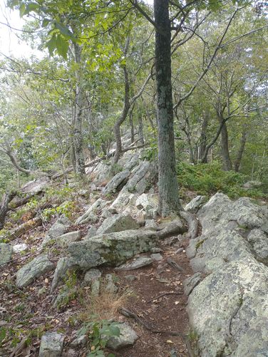 Our Rocky trail begins.