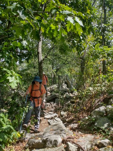 Picture 11 of Massanutten Peak via Massanutten Ridge Trail