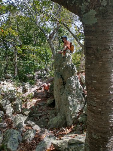 The rocky trail added a lot of fun to our hike, but definitely slowed down our pace