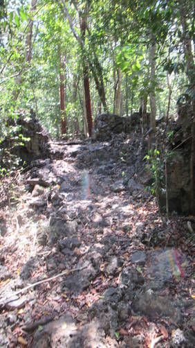 Minimal elevation along trail