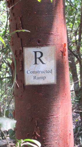 Point of interest marker on tree