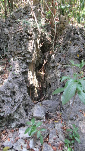 Limestone along trail