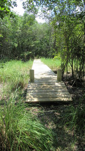 One of two boardwalks on the Mastic Trail