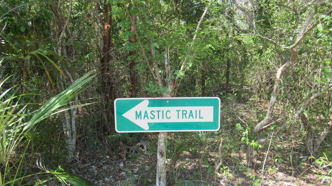 Trail marker 