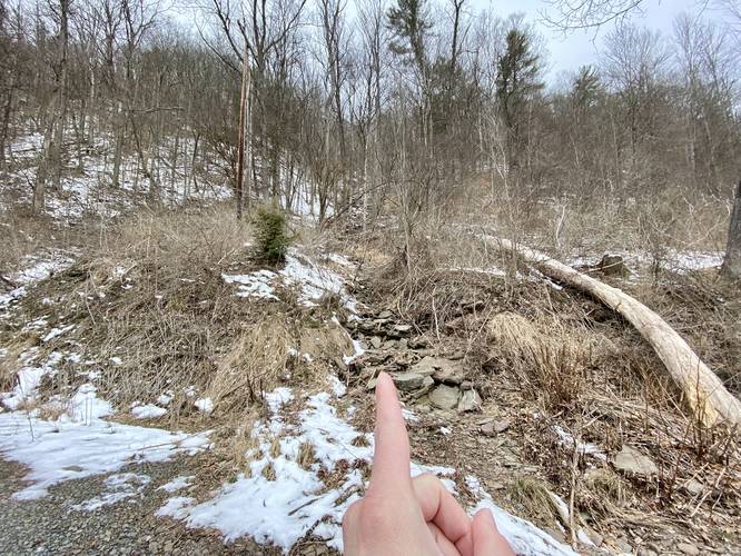 Matson Spring creek "trailhead"