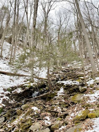 View looking up Matson Spring creek