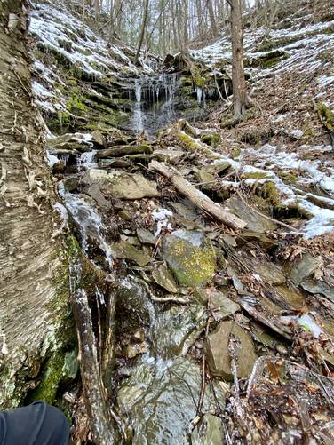 View up Matson Spring creek of Matson Spring Falls