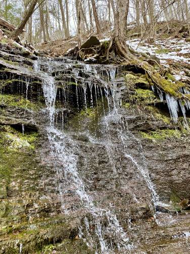 Matson Spring Falls (15-foot tier)