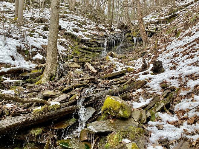 View of Matson Spring creek of Matson Spring Falls