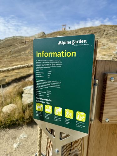 Picture 43 of Matterhorn Views Hike Gornergrat to Findelbach