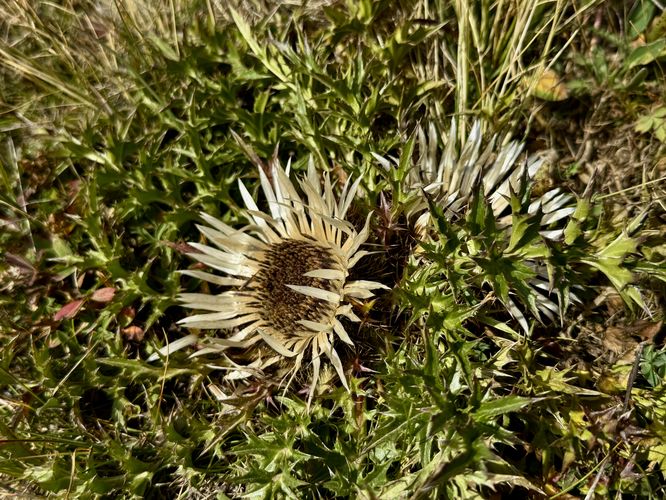 Picture 67 of Matterhorn Views Hike Gornergrat to Findelbach