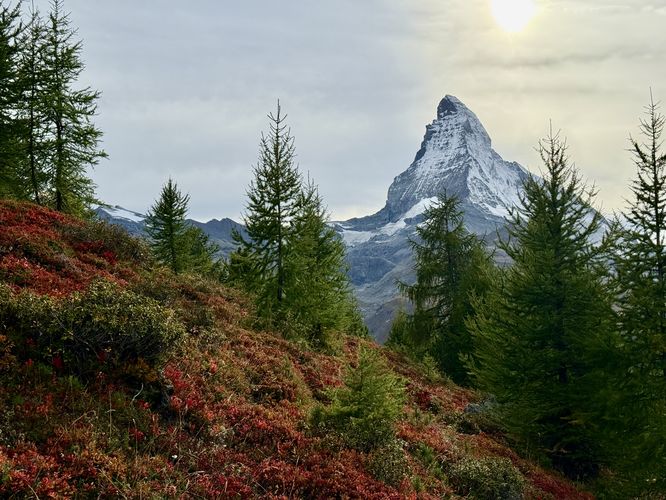 Autumn colors, larch, and the Matterhorn