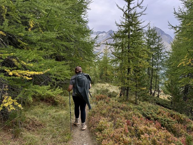 Picture 82 of Matterhorn Views Hike Gornergrat to Findelbach