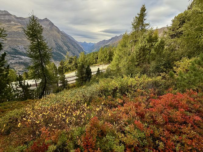Picture 83 of Matterhorn Views Hike Gornergrat to Findelbach