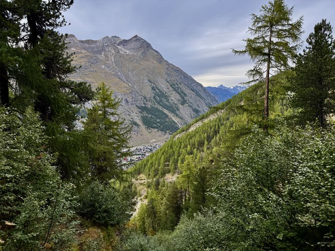 Picture 85 of Matterhorn Views Hike Gornergrat to Findelbach