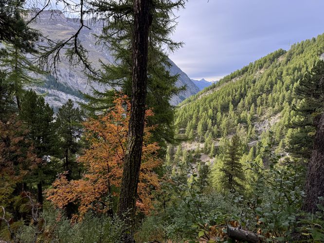Picture 87 of Matterhorn Views Hike Gornergrat to Findelbach