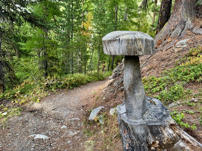 Picture 88 of Matterhorn Views Hike Gornergrat to Findelbach