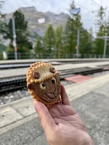 After-hike cookie