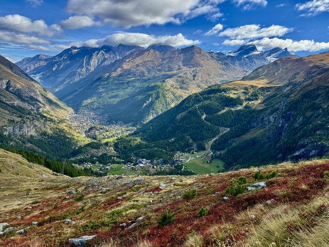 Autumn colors in the alpine meadows with a view of Zermatt valley below