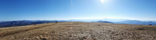Picture 6 of Max Patch Hike 021917